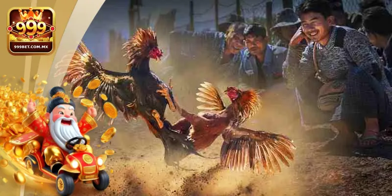 Người chơi cần hiểu rõ và tuân thủ luật chơi đá gà 999bet